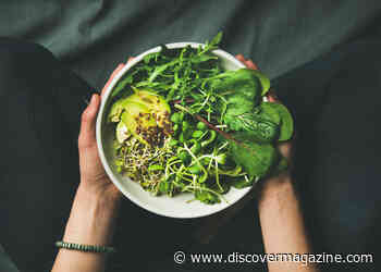 The Pros and Cons of Vegetarian and Vegan Diets