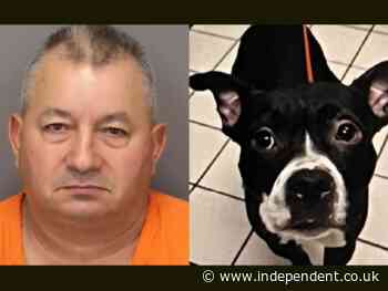 Florida man accused of chopping head off dog he adopted one day earlier and dumping body in park