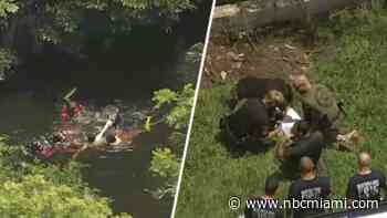 Video captures the moment a man is apprehended by divers in a Cooper City canal following a robbery