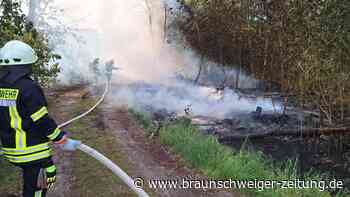 Einsatz bei Baddeckenstedt: Rund 25 Quadratmeter Totholz brennen