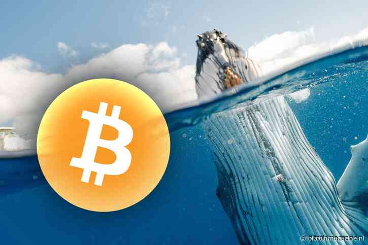 Crypto whales kopen $16,8 miljard aan bitcoin na spot ETF lancering