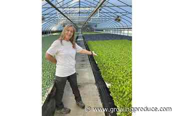 Favorite Farm Tools That Make R&K Greenhouses Grow Strong