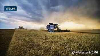 Rekordgewinne für Landwirte – doch jetzt droht der Absturz