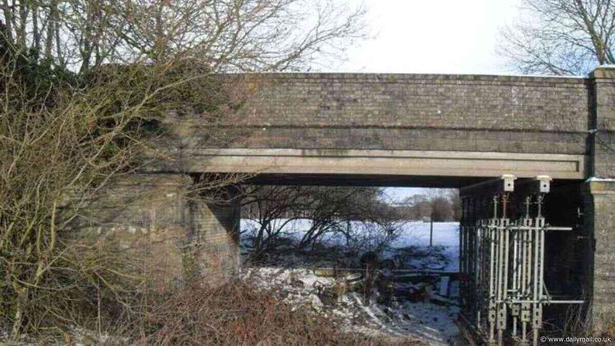 National Highways committed 'corporate vandalism' when it poured hundreds of tonnes of concrete under historic railway bridge, inquiry hears