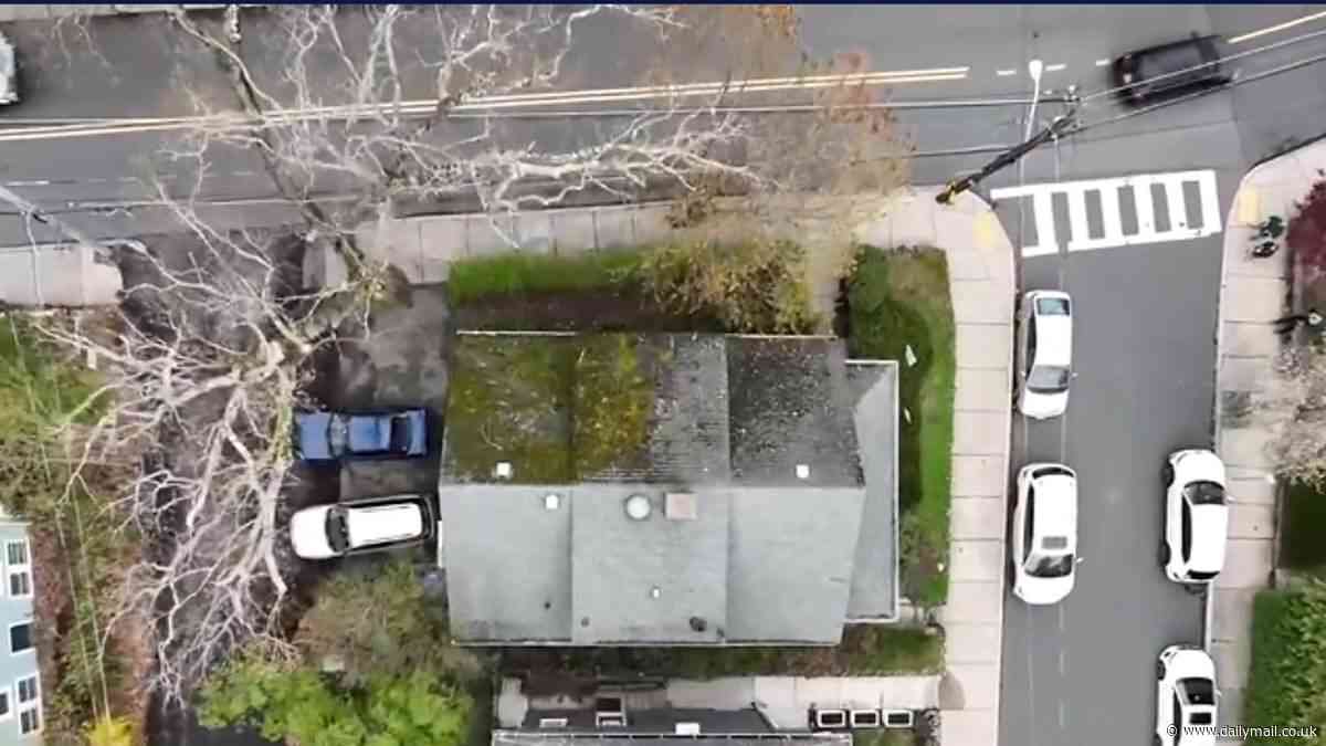 The ruthless insurance companies using DRONES to stiff homeowners: 'Get the moss off your roof and trim your trees back'
