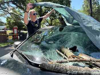 Tree branch crashes through car at Raleigh park; city to remove tree in question
