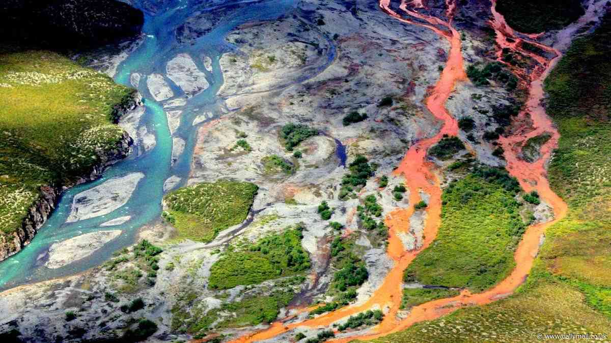 Alaska's rivers are turning toxic ORANGE - and experts say it could happen to more water supplies across the world