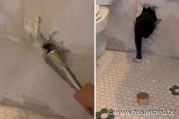 Vrouw breekt muur open omdat haar kat vastzit na reparatiewerken: “Wou dat ik een grapje maakte”