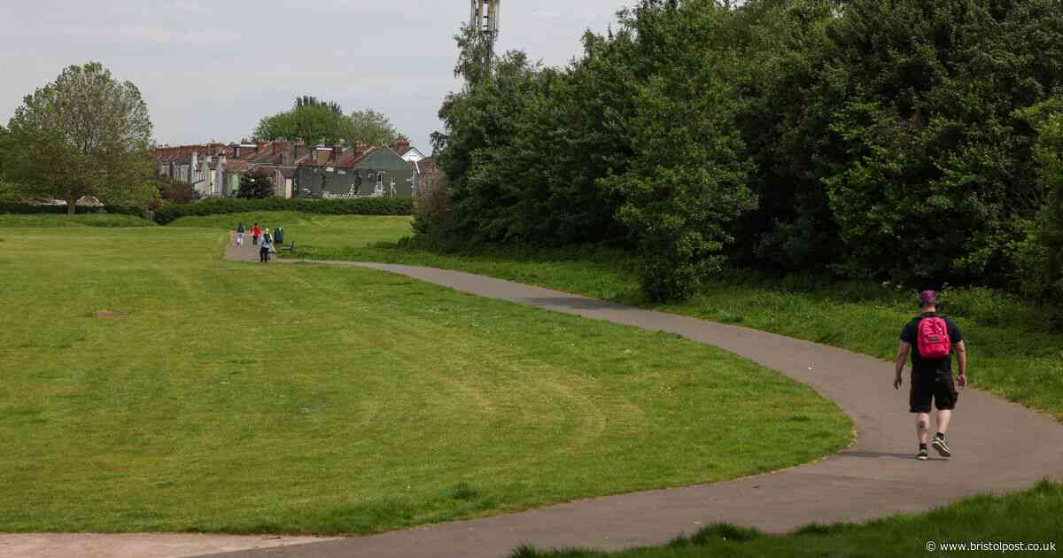 Popular park 'left to go wild and unmaintained' after council cuts funding