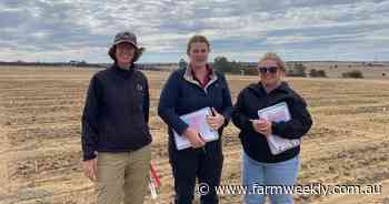 Project drills into deep sowing of oats