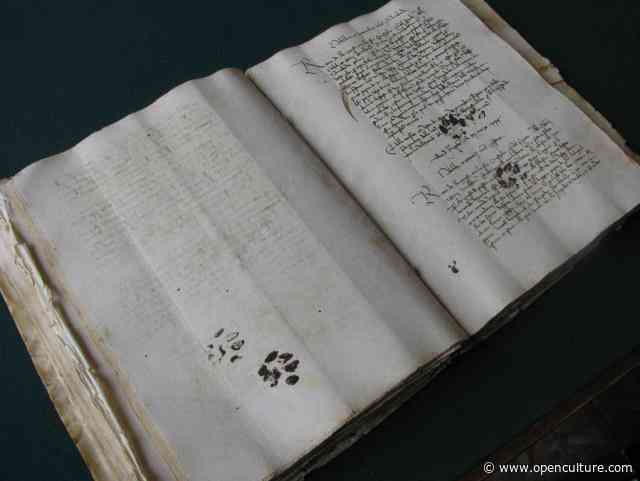 Medieval Cats Behaving Badly: Kitties That Left Paw Prints … and Peed … on 15th Century Manuscripts