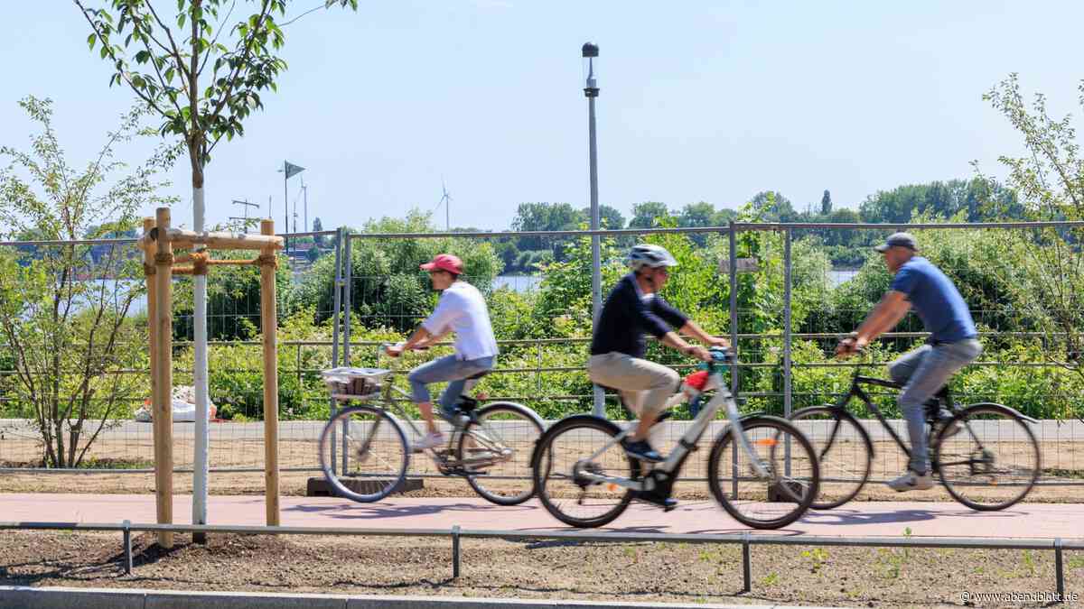 Plötzlich weniger Radverkehr in Hamburg: Streit über Gründe
