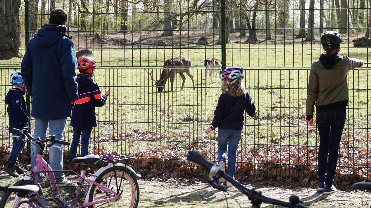 Hirschpark an der Elbe weiterhin ohne Hirsche – die Gründe