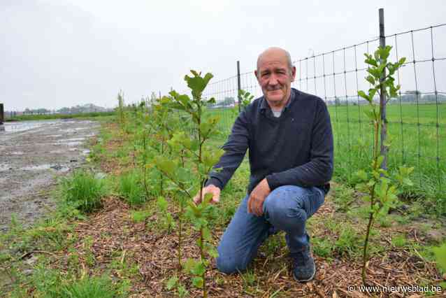 Veehouder Johan plant 500 bomen om CO2 uit de lucht ondergronds te steken: “Prachtig voorbeeld van carbon farming”