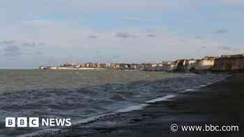Pollution alert after reports of dead marine life