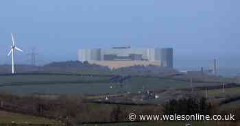 Wylfa named as preferred site for new mega nuclear power station by UK Government