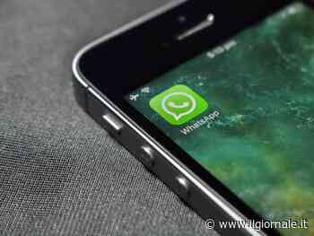 Perché WhatsApp è diventato verde (ma non per tutti)