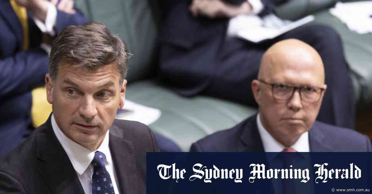 Shadow treasurer changes script on Dutton’s immigration cuts