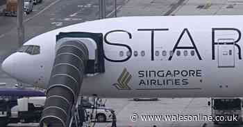 Singapore Airlines new statement after man dies after turbulence hits UK flight