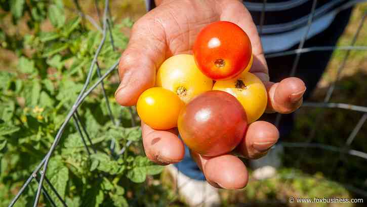 Want to make money off your flourishing garden? Here are 4 ways to turn your crops into cash