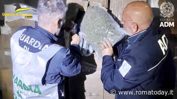 Quattrocento chili di marijuana nelle bobine di carta, maxi sequestro al porto
