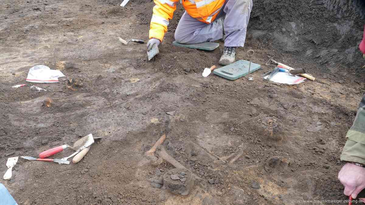 Bronzezeit-Funde bei Uehrde liefern spannende Erkenntnisse