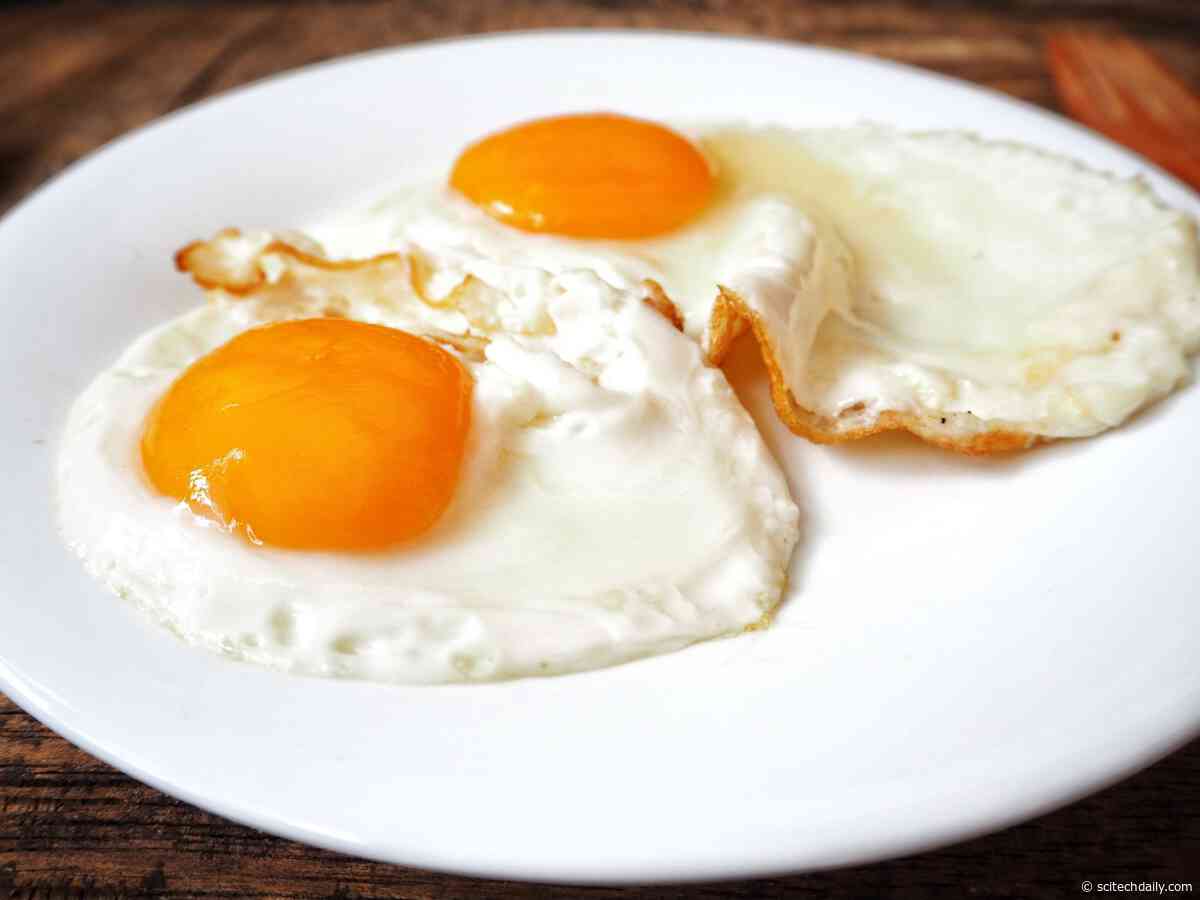 New Research Suggests That Eggs Might Not Actually Be Bad for Your Heart