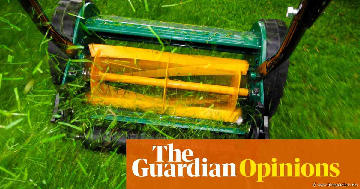 Trigger-happy councils mowing down our spring flowers? There’s a better way to do things | Phineas Harper