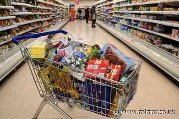 UK gov publishes full list of supplies all Brits need to survive apocalypse – how many do you have?
