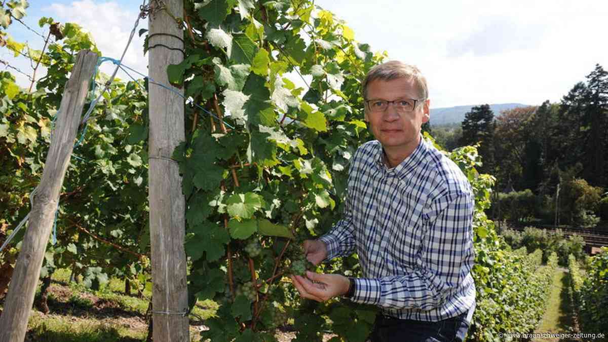 Weingut überschwemmt: Günther Jauch packt kräftig mit an