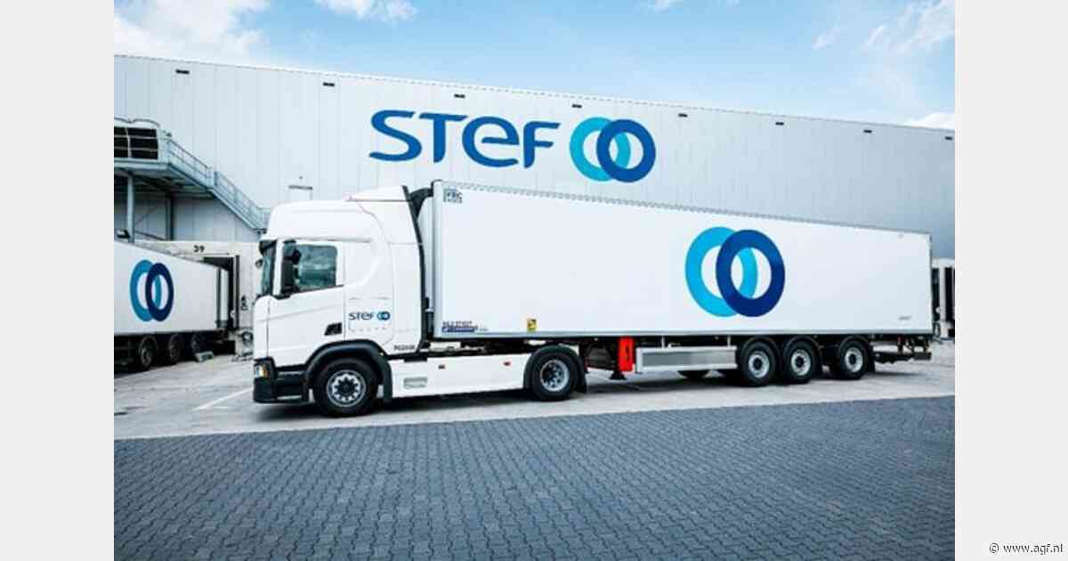 STEF Nederland introduceert nieuw managementteam na overname Bakker Logistiek