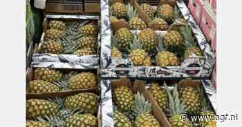 "Beperkt aanbod, hoge prijzen, gemiddelde kwaliteit, al met al een moeilijke ananasmarkt"