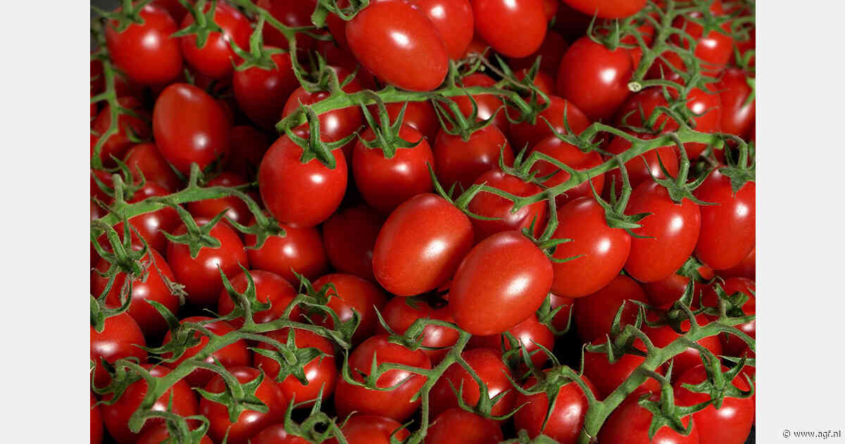 Nieuwe protesten in Frankrijk tegen concurrentie Marokkaanse tomaten