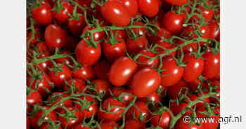 Nieuwe protesten in Frankrijk tegen concurrentie Marokkaanse tomaten