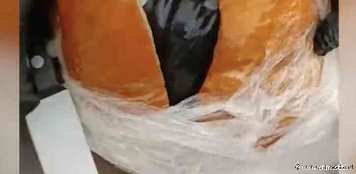 Ruime ton cocaïne verborgen in meloenen en sap (VIDEO)