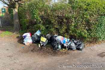 Shop owner dumped waste in South Bristol spot seven times