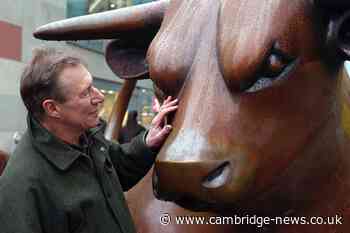 Cambridgeshire artist who designed Birmingham's Bullring bull dies