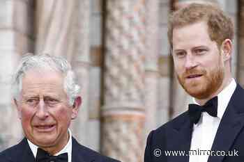 Prince Harry's searing remark on King Charles' parenting that likely shocked the Palace