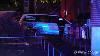 3 killed after brawl in Plateau-Mont-Royal