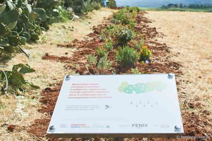 Bäume vor Rom: Fendi startet Projekt für Biodiversität