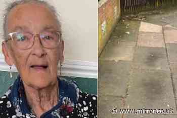 Great gran dies after tripping on uneven pavement which she campaigned for council to fix