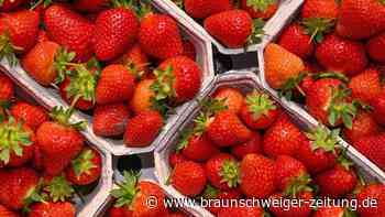 Deutsche oder importierte Erdbeeren: Was ist gesünder?
