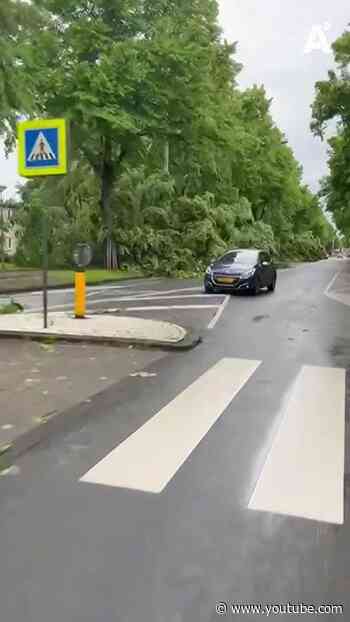 Zo raasde de storm door de stad: omgevallen bomen en wateroverlast
