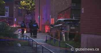 Three dead including teen after large Montreal knife brawl