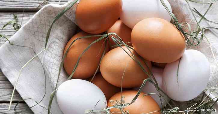 The difference between white and brown eggs - which is better?