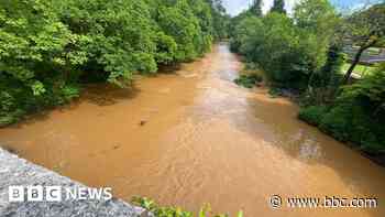 Devon river pollution sparks 'do not swim' warning