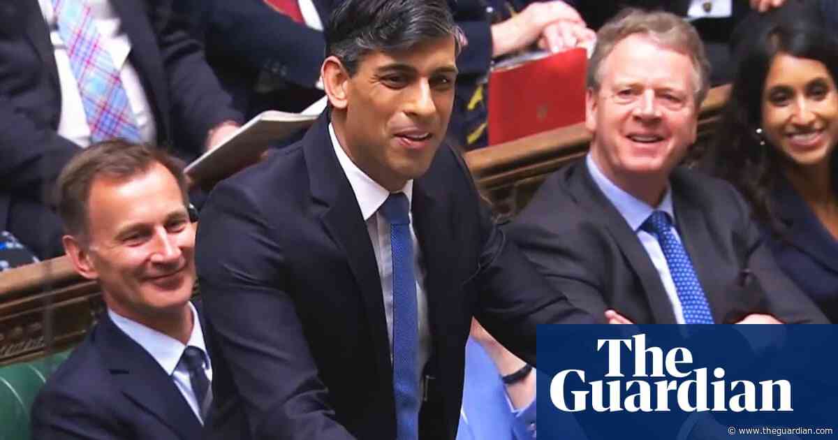 Rishi Sunak refuses to rule out summer general election – video