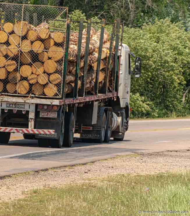 No injuries after logging truck spills load in Madawaska Valley