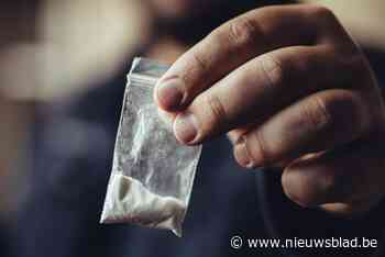 Politie ontdekt cannabisplantage en 8,5 kilogram cocaïne: vijf arrestaties