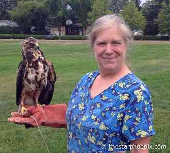 Living Sky Wildlife Rehabilitation gives injured wildlife a safe place to recover